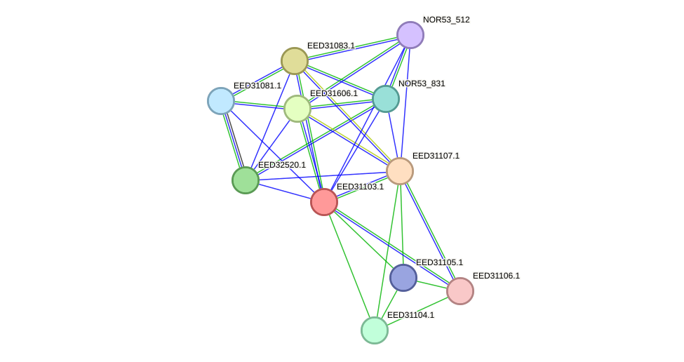 STRING protein interaction network