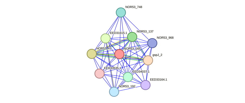 STRING protein interaction network