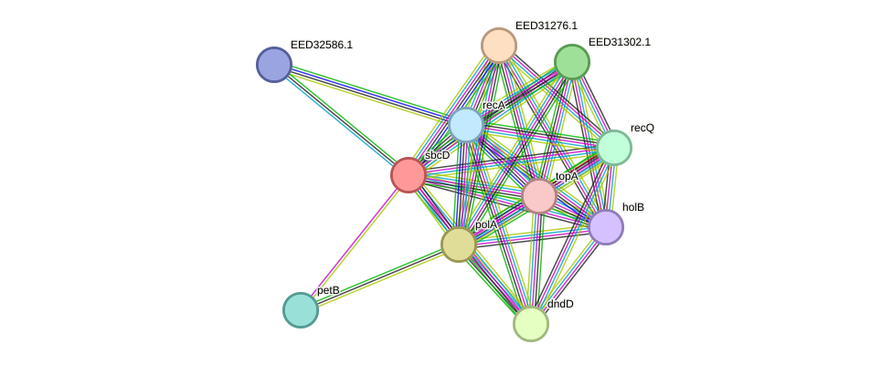STRING protein interaction network