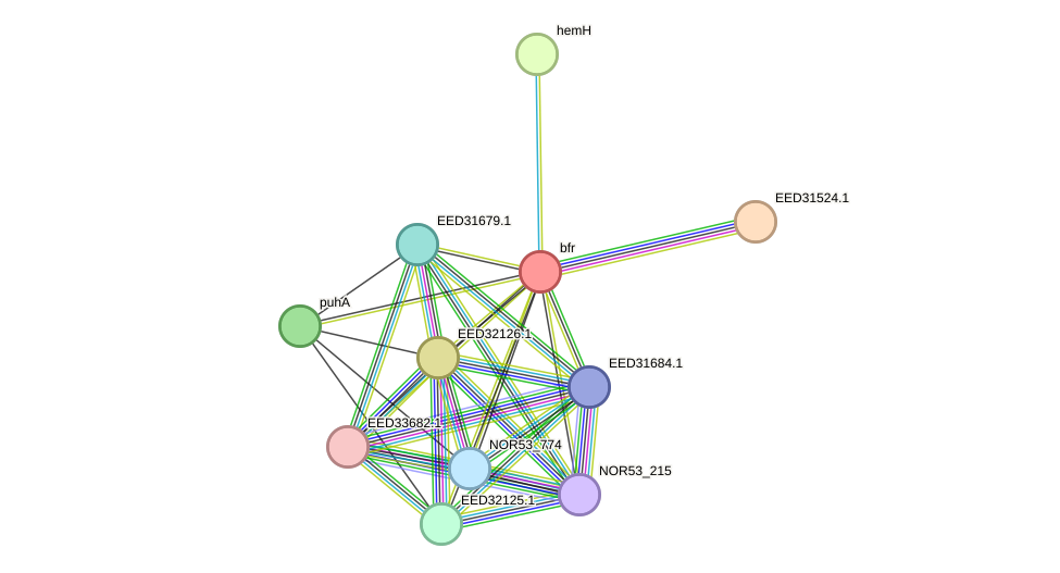 STRING protein interaction network