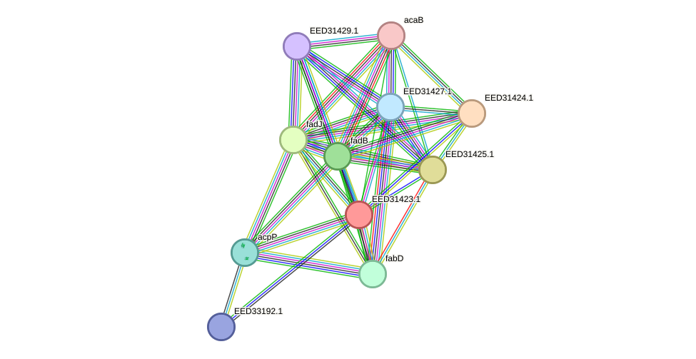 STRING protein interaction network