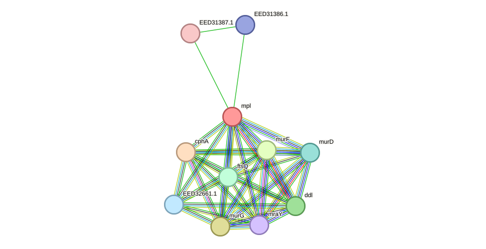STRING protein interaction network