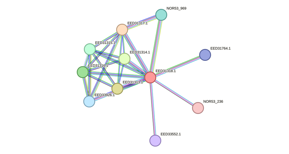 STRING protein interaction network