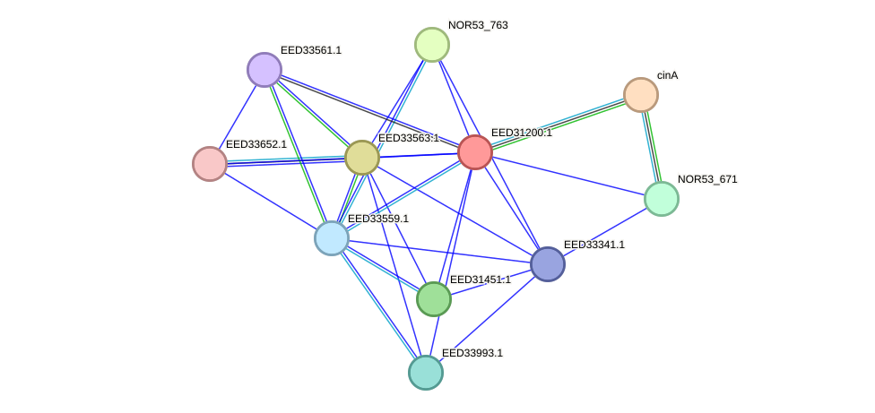 STRING protein interaction network