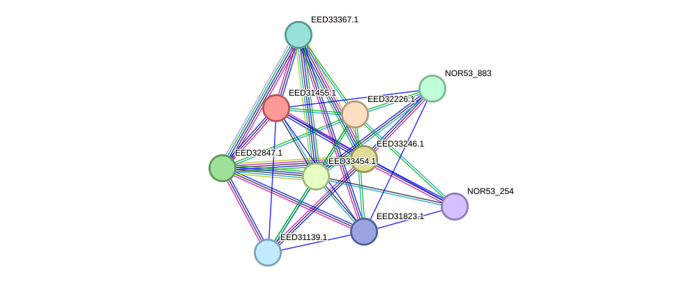 STRING protein interaction network