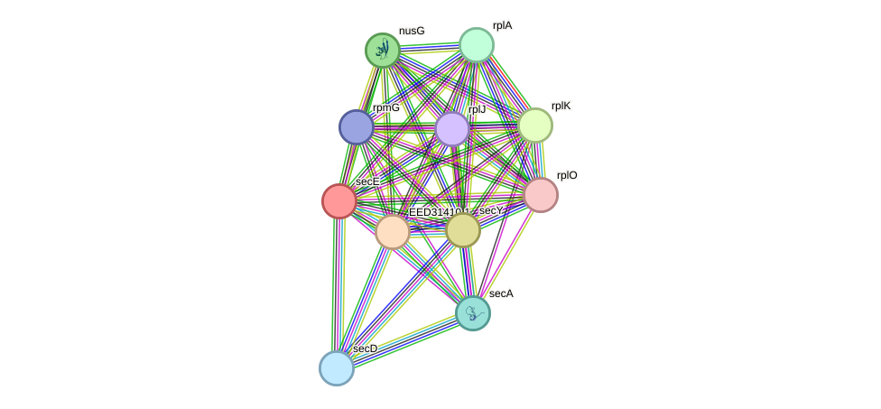 STRING protein interaction network