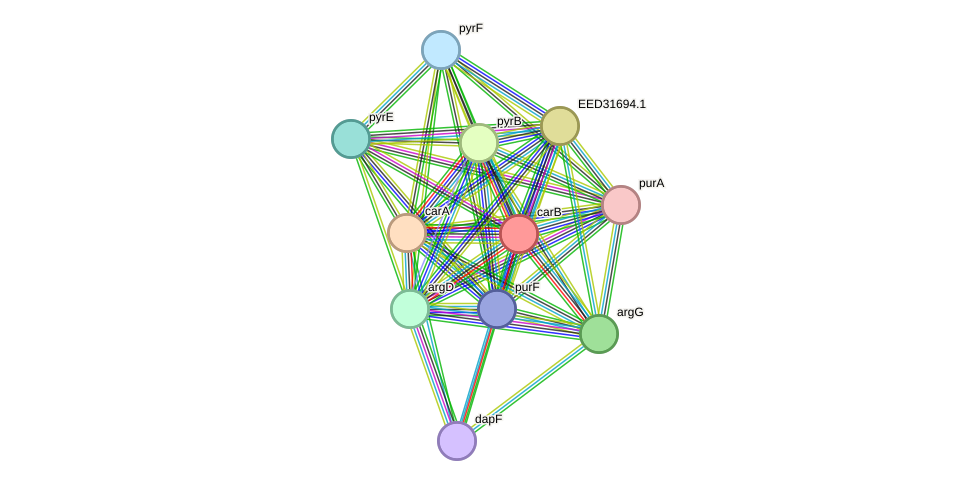 STRING protein interaction network