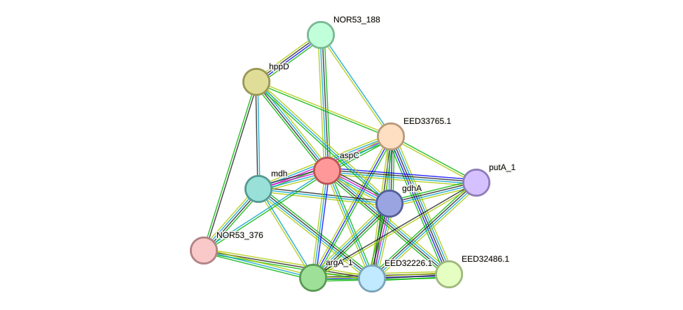 STRING protein interaction network