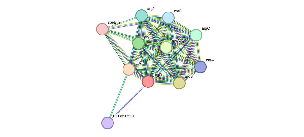 STRING protein interaction network