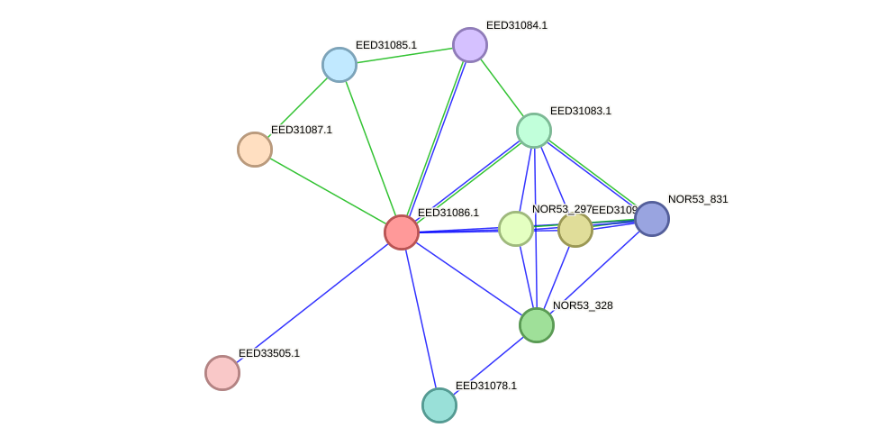 STRING protein interaction network