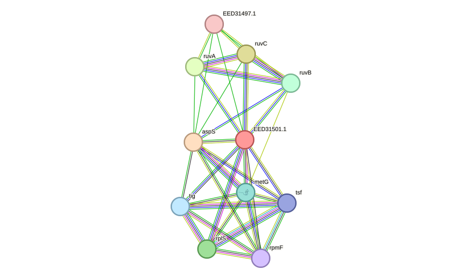 STRING protein interaction network