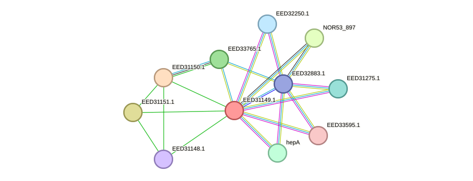 STRING protein interaction network