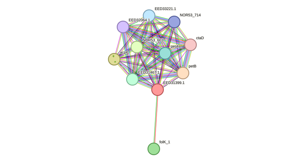 STRING protein interaction network