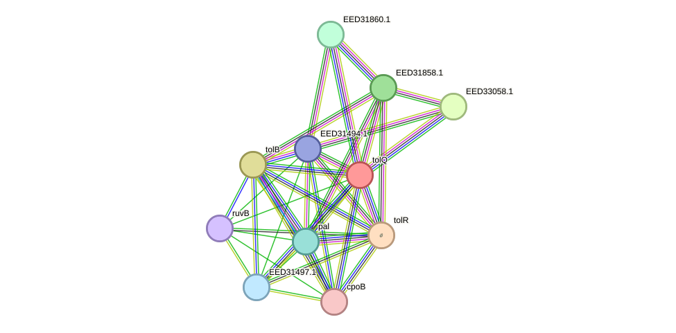 STRING protein interaction network