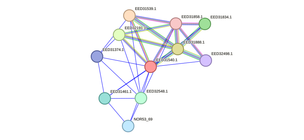 STRING protein interaction network