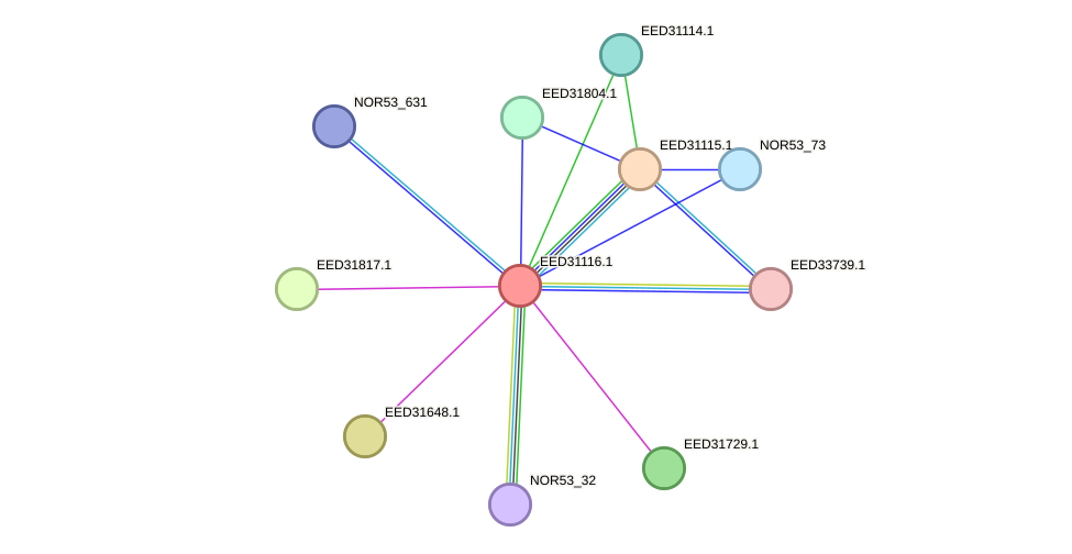 STRING protein interaction network