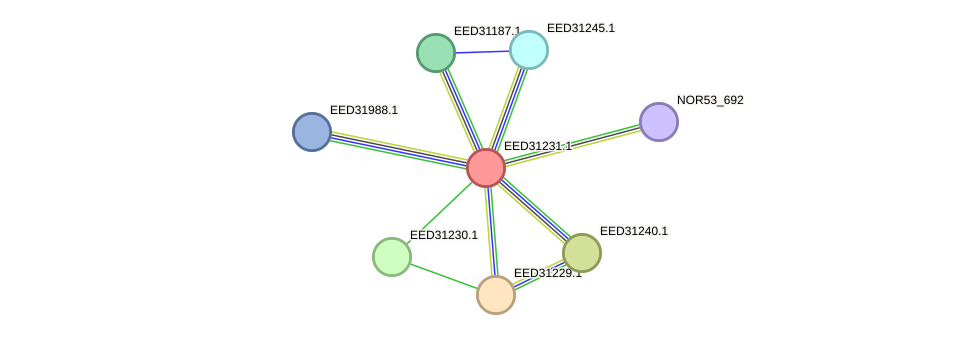 STRING protein interaction network