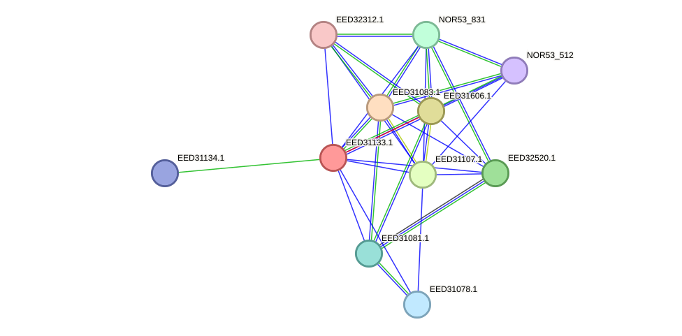STRING protein interaction network