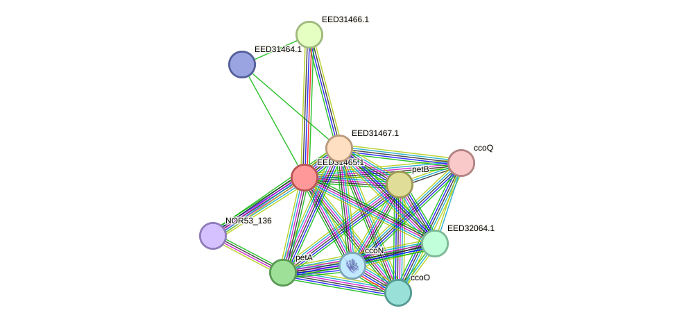 STRING protein interaction network