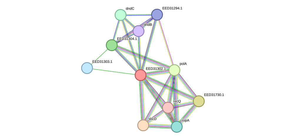 STRING protein interaction network