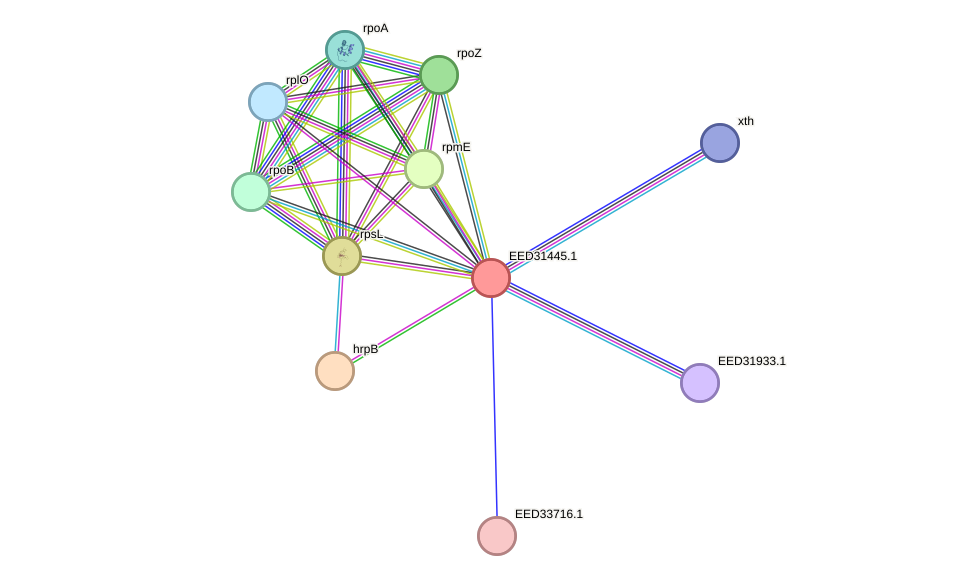 STRING protein interaction network