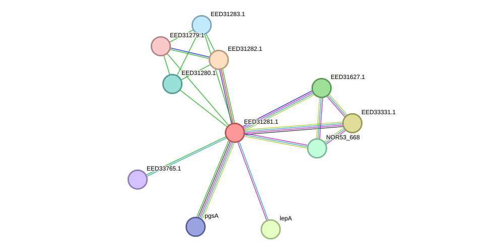 STRING protein interaction network