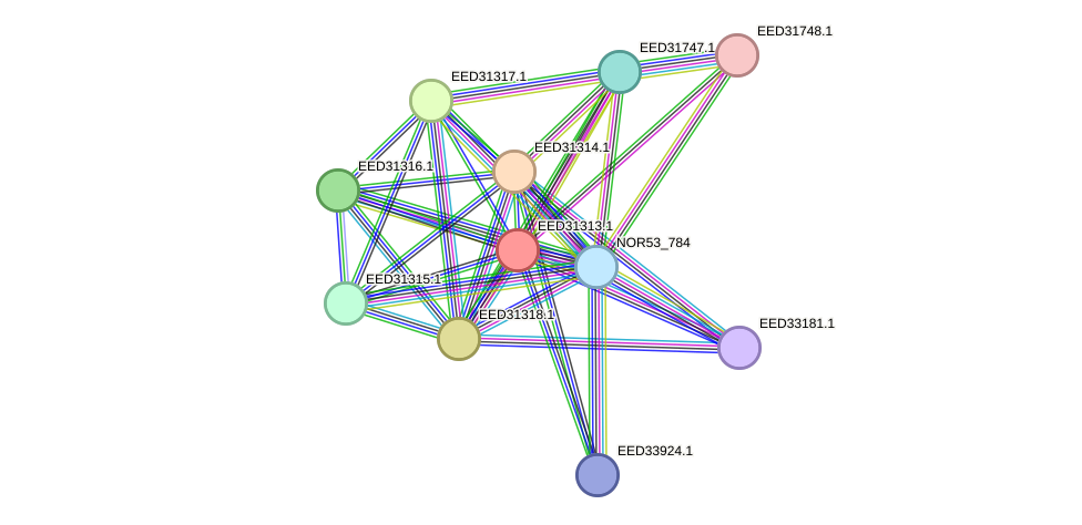 STRING protein interaction network