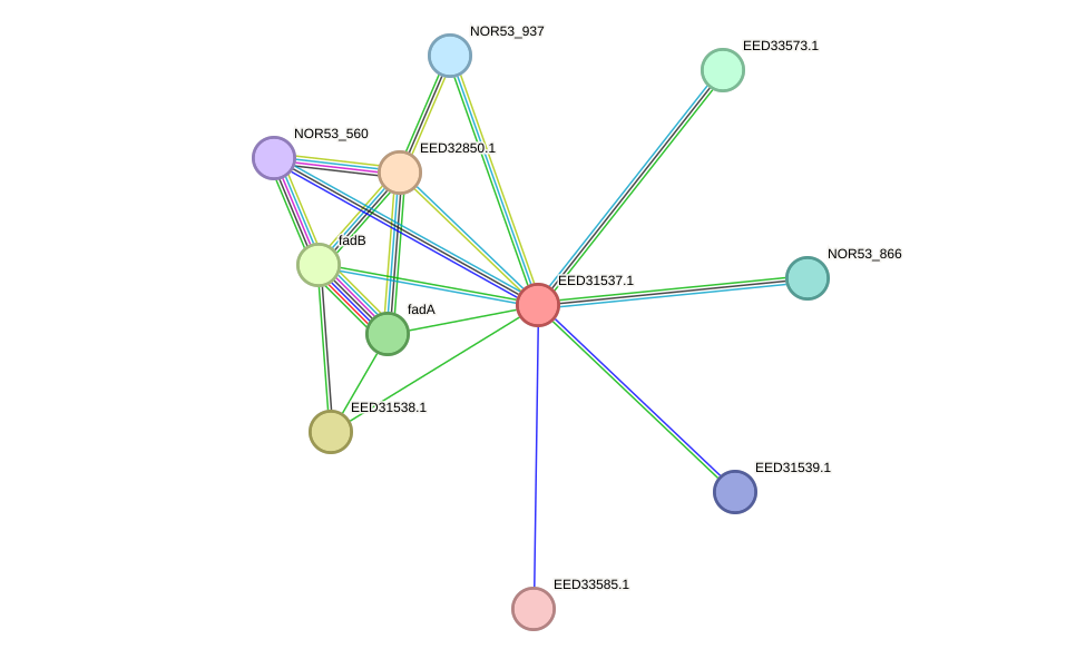 STRING protein interaction network