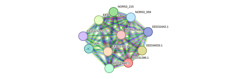 STRING protein interaction network