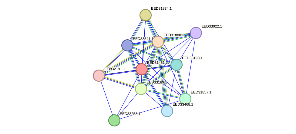 STRING protein interaction network