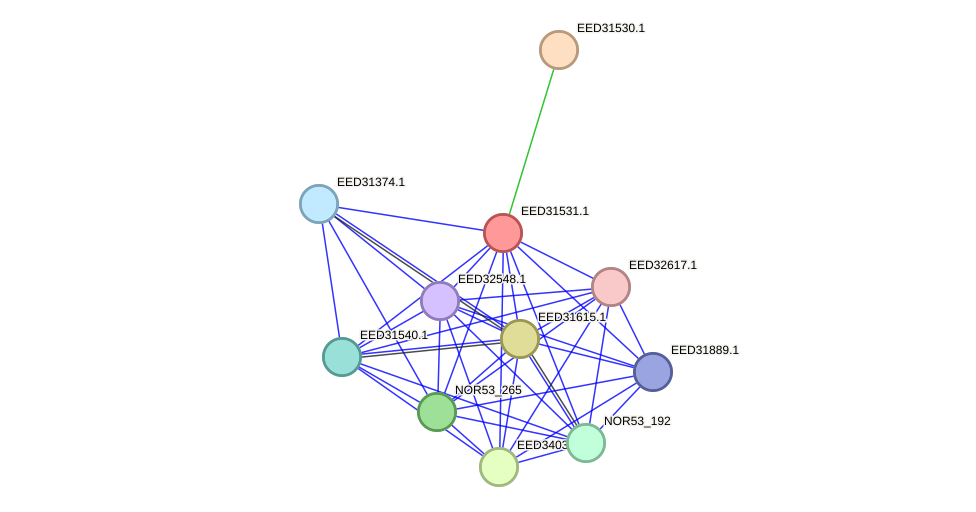 STRING protein interaction network