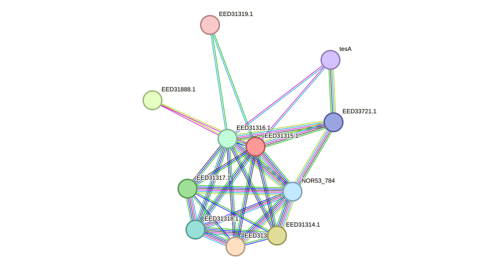 STRING protein interaction network