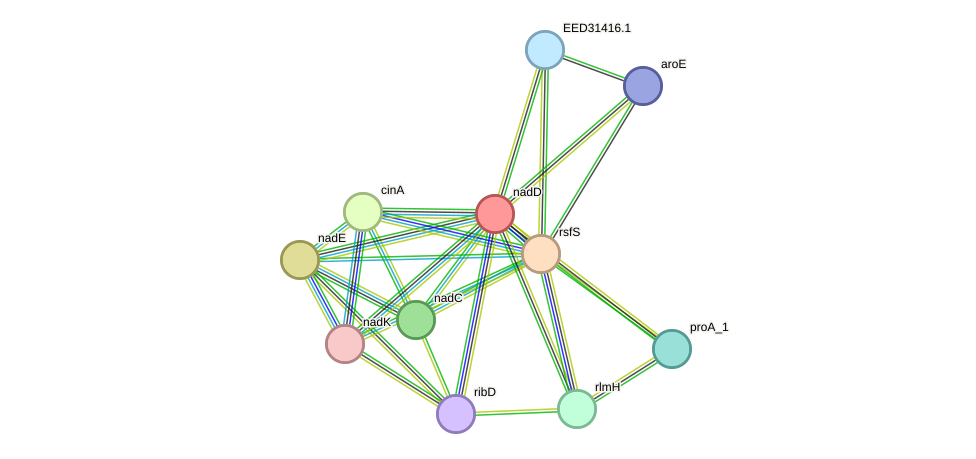STRING protein interaction network