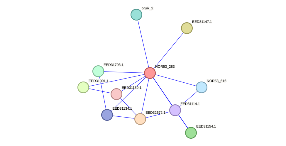 STRING protein interaction network