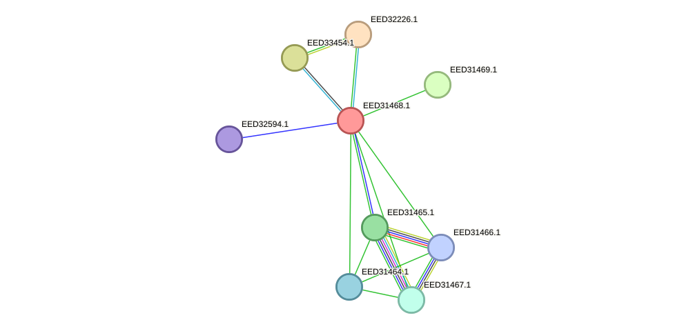 STRING protein interaction network