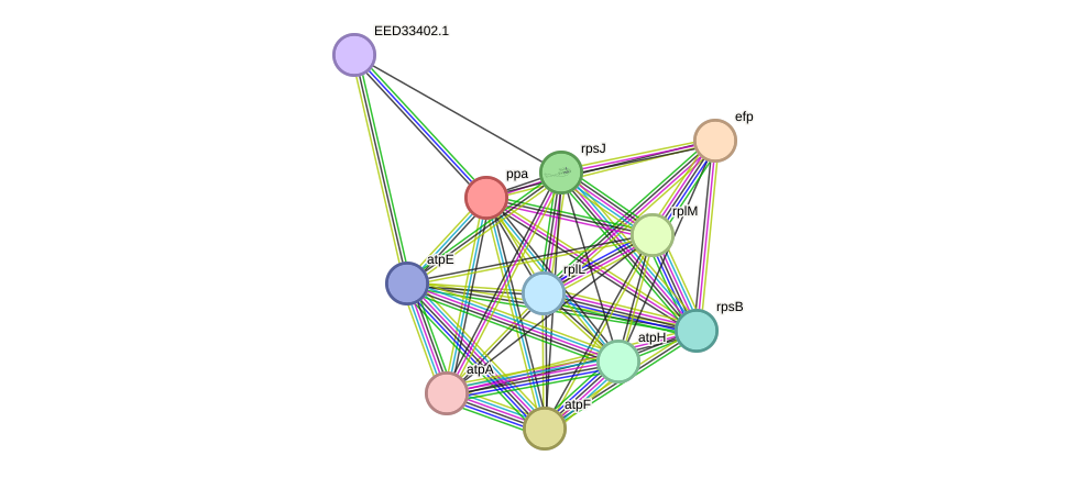 STRING protein interaction network