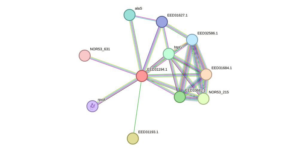 STRING protein interaction network