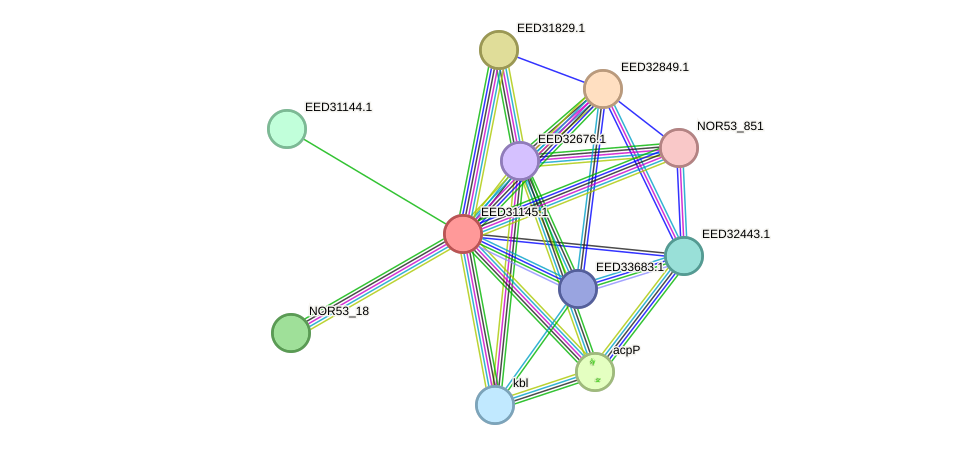 STRING protein interaction network