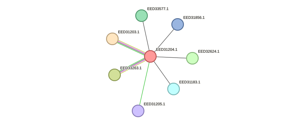 STRING protein interaction network