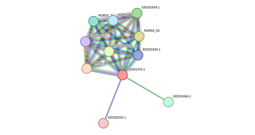 STRING protein interaction network