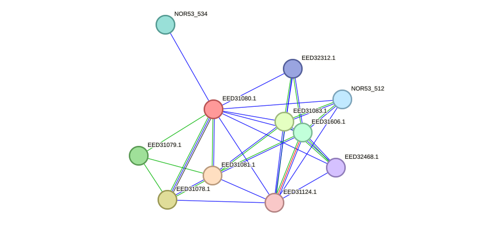 STRING protein interaction network