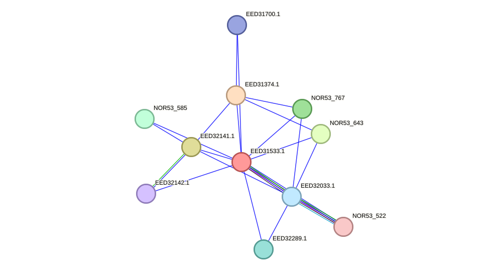 STRING protein interaction network