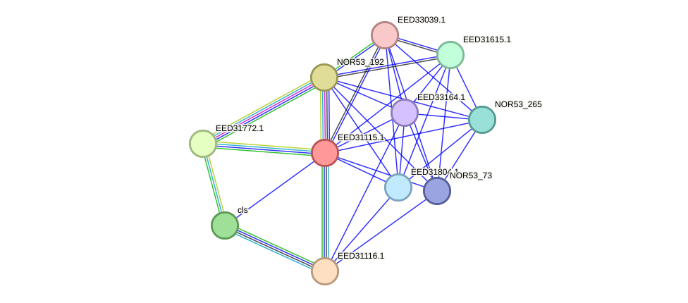 STRING protein interaction network