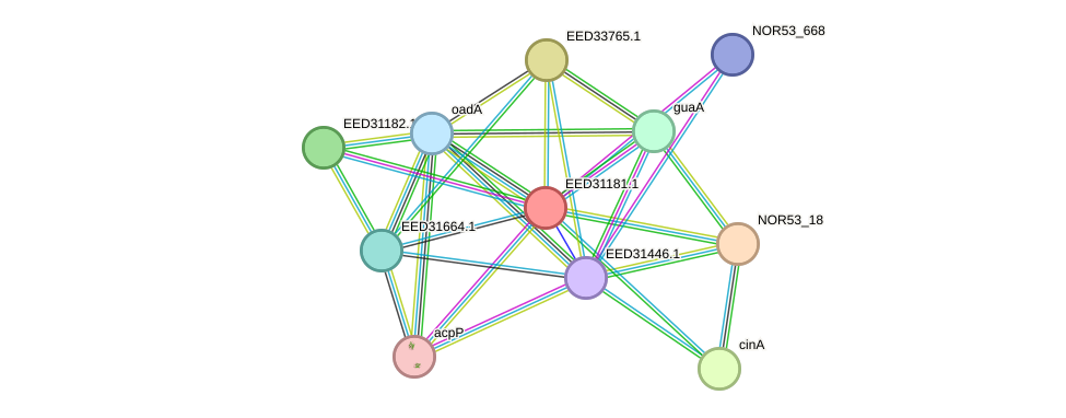 STRING protein interaction network