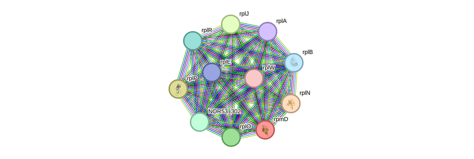 STRING protein interaction network