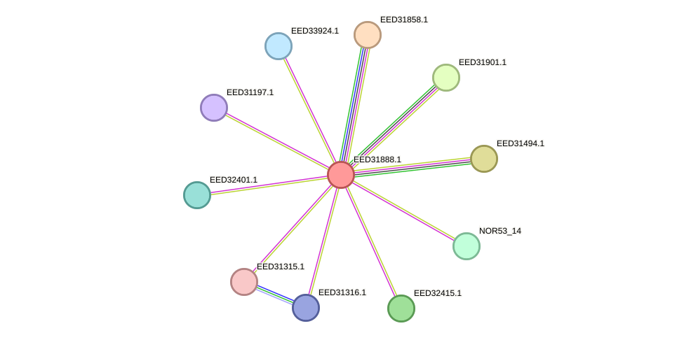 STRING protein interaction network