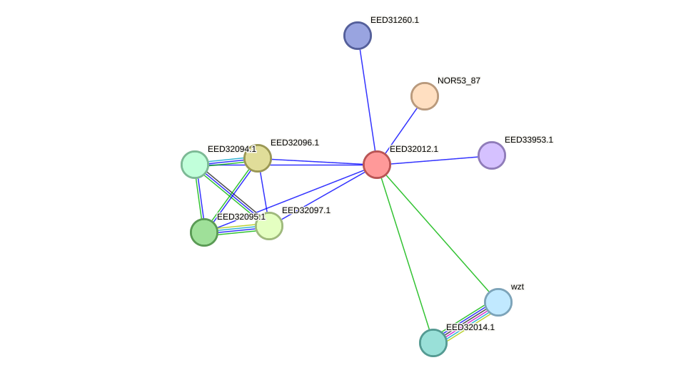 STRING protein interaction network