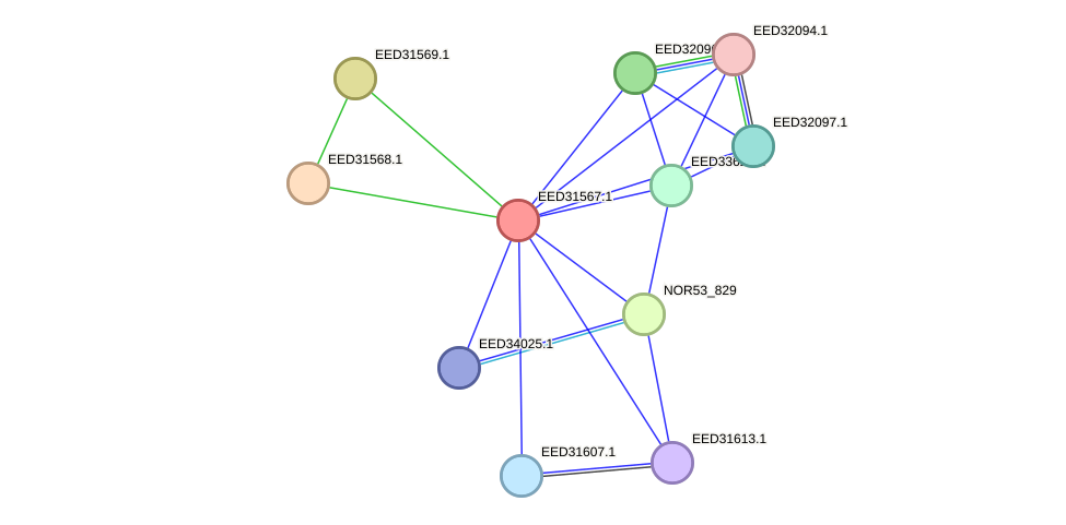 STRING protein interaction network