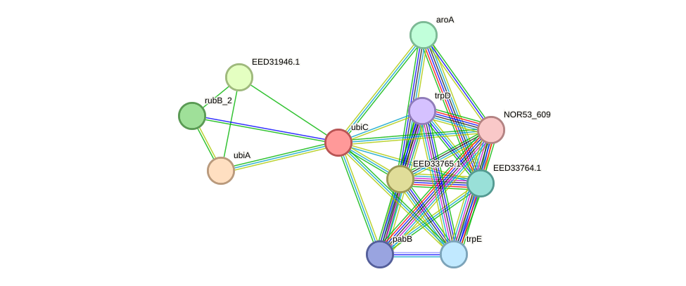 STRING protein interaction network