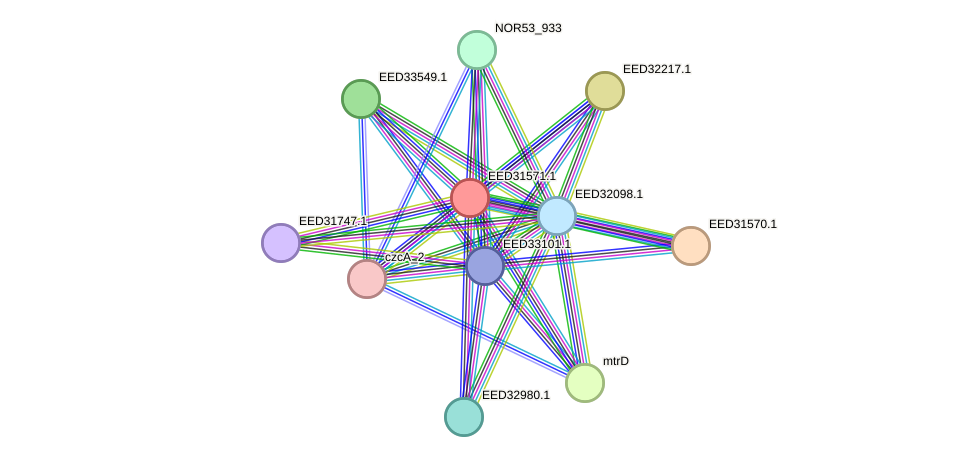 STRING protein interaction network